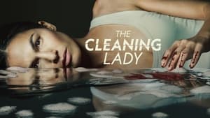 poster The Cleaning Lady