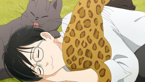 Neko ni Naritai Tamagawa-kun