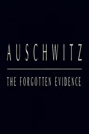 Image Auschwitz: The Forgotten Evidence