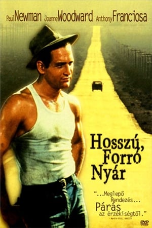 Poster Hosszú, forró nyár 1958