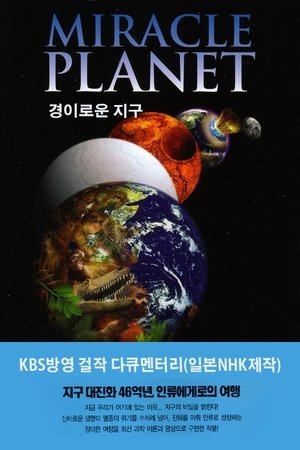 Miracle Planet poster