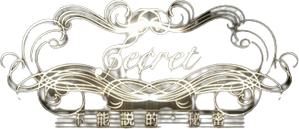 不能說的秘密 — Logos 2