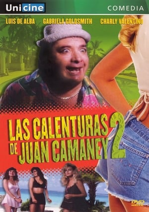 Poster Las calenturas de Juan Camaney II (1989)