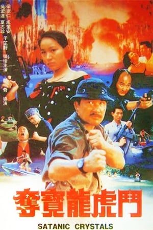 Poster 奪寶龍虎鬥 1989