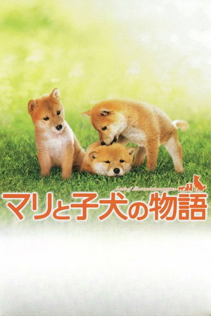 A Tale of Mari and Three Puppies