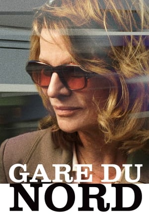 Poster Gare du Nord (2013)