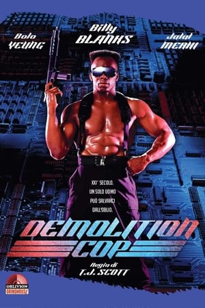 Poster Demolition Cop 1993