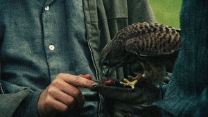 Kes 62