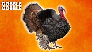Why Do We Eat Turkey On Thanksgiving?