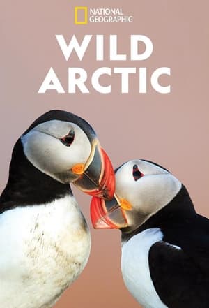 watch-Destination Wild: Wild Arctic