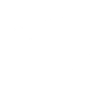 Ảnh 157