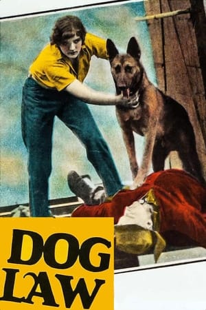 Poster Dog Law (1928)