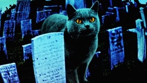 Cementerio de Mascotas / Cementerio viviente (1989)