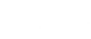 O Jogo da Abelha Rainha — Logos 3