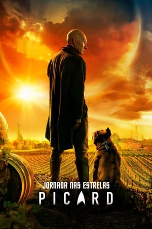 Star Trek : Picard - Saison 1 - poster n°2