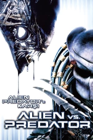 Poster Alien Predator'a Karşı 2004