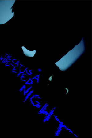 The Cat Is A Wide-Eyed Night