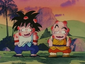 Dragon Ball: 1×18