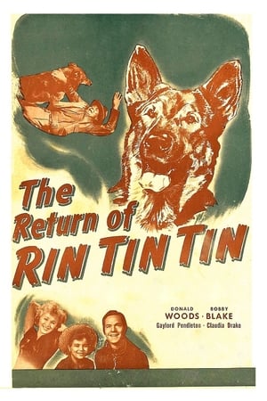 Poster The Return of Rin Tin Tin 1947