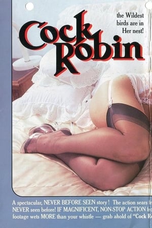Poster Cock Robin 1989