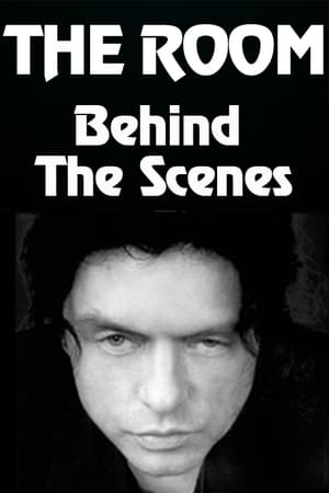 Poster Behind the Scenes of "The Room" 2005