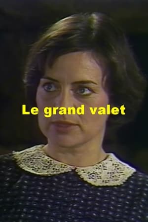 Poster Le grand valet ()