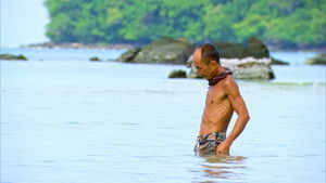 Survivor: 32×11