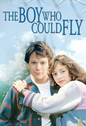 The Boy Who Could Fly poster