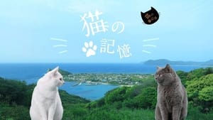 糸島映画 猫の記憶