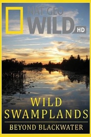 Image Wild Swamplands