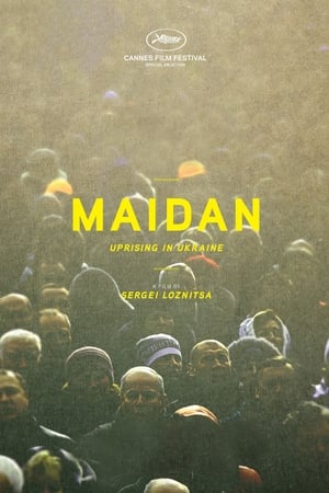 Poster Maidan (2014)