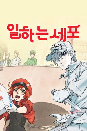 Cells at Work! 36