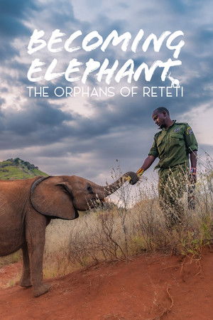 Becoming Elephant: The Orphans Of Reteti (2026)