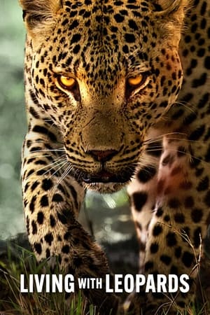 Leben mit Leoparden 2024