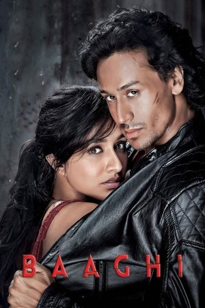 Image Baaghi