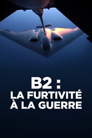 Image B2 : La furtivité à la guerre