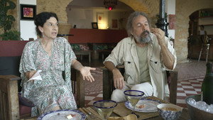 Di Cavalcanti still 3