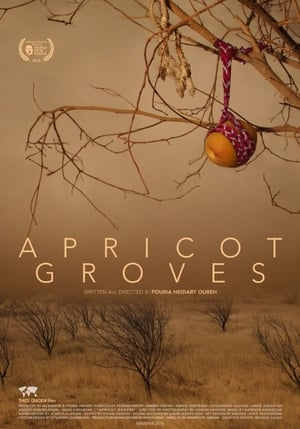 Poster Apricot Groves (2017)