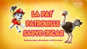 Paw Patrol Helfer auf vier Pfoten: 5×2