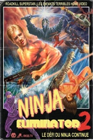 Poster Ninja Eliminator 2: Quest of the Magic Ninja Crystal (2010)