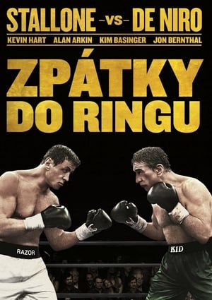 Poster Zpátky do ringu 2013