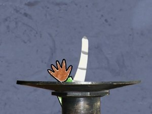 Épisode 43