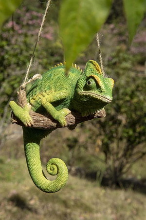 Chameleon 2