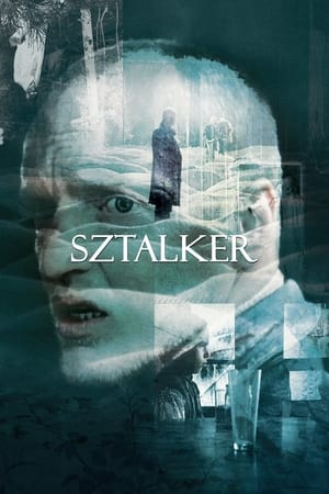 Image Sztalker