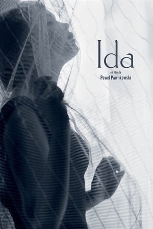 Poster Ida 2013