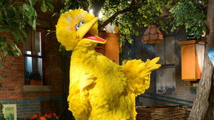 Sesame Street: 46×1