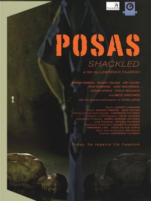 Poster Posas 2012