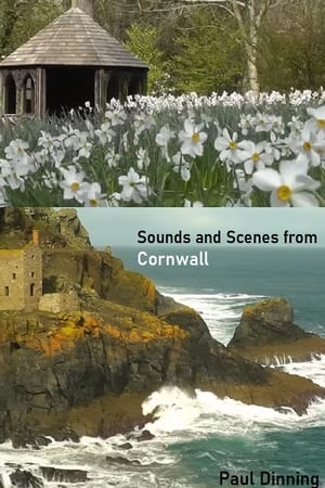 Sounds and Scenes from Cornwall 2024