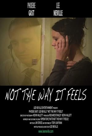 Poster Not the Way It Feels (2010)