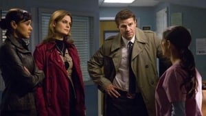 Bones Temporada 4 Capitulo 18